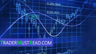 BASIC KNOWLEDGE ABOUT FOREX YOU MUST KNOW BEFORE TRADING